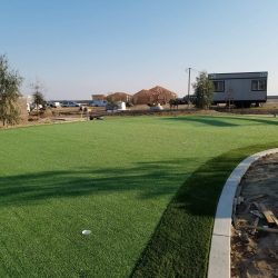 synthetic grass putting green