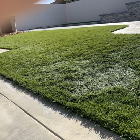 Commercial and Residential Courts and Synthetic Turf