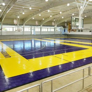 universidad-central-de-bayamon-ylw-purpl